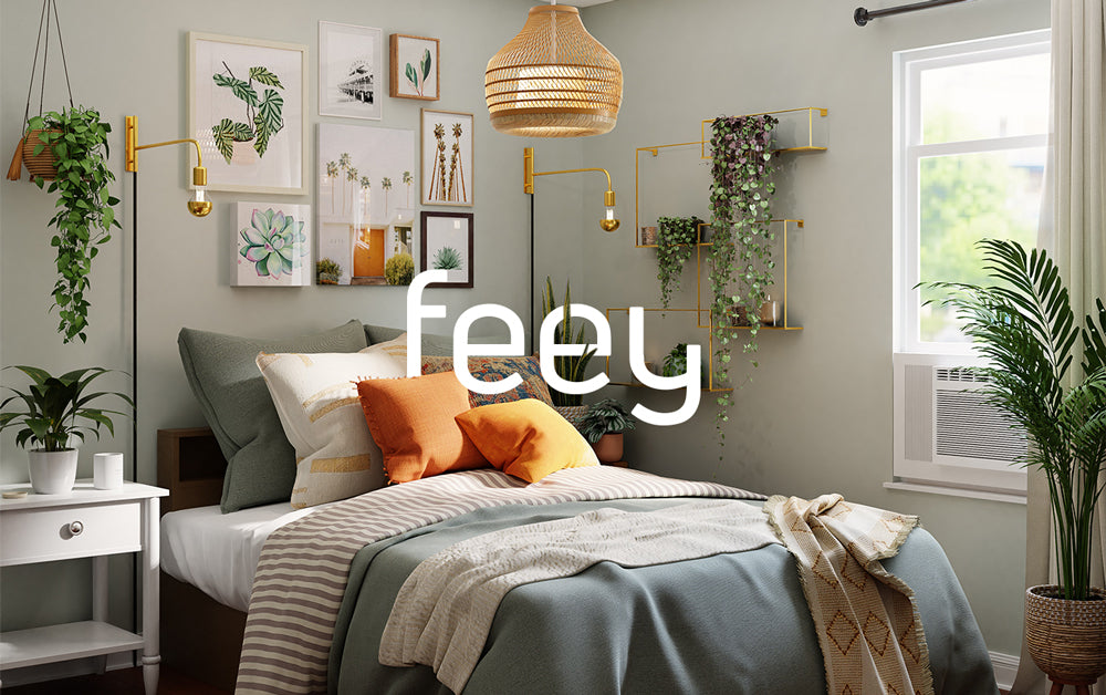 feey Pflanzen für alle Daumenfarben 🌱 feey GmbH