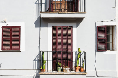 Top 8 robuste Zimmerpflanzen, die im Sommer auf den Balkon können