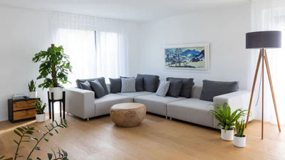 Wohnzimmer mit Pflanzen einrichten: Ideen & Inspiration