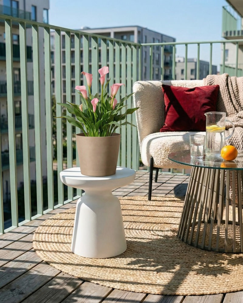 Rosa Calla im beigen Topf auf einem sonnigen Balkon mit Lounge-Sofa