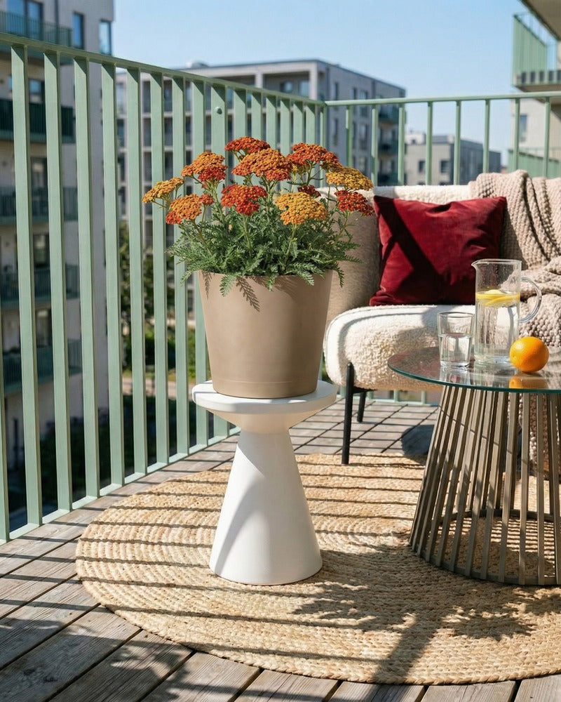 Orange-braune Schafgarbe im beigen Topf auf einem sonnigen Balkon mit Lounge-Sofa