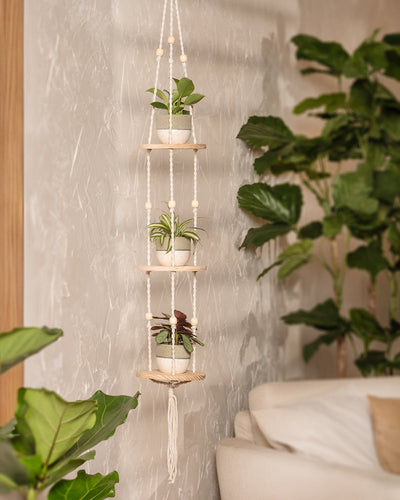 Ein hängendes Seilregal hat drei Ebenen, auf denen jeweils kleine Topfpflanzen in eleganten Töpfen aus dem Keramik-Baby-Topfset „Variado“ (6 Stk.) vor einer strukturierten beigen Wand stehen. Im Hintergrund tragen größere Blattpflanzen und ein Teil eines beigen Sofas zu einer gemütlichen Zimmerpflanzendekoration bei.