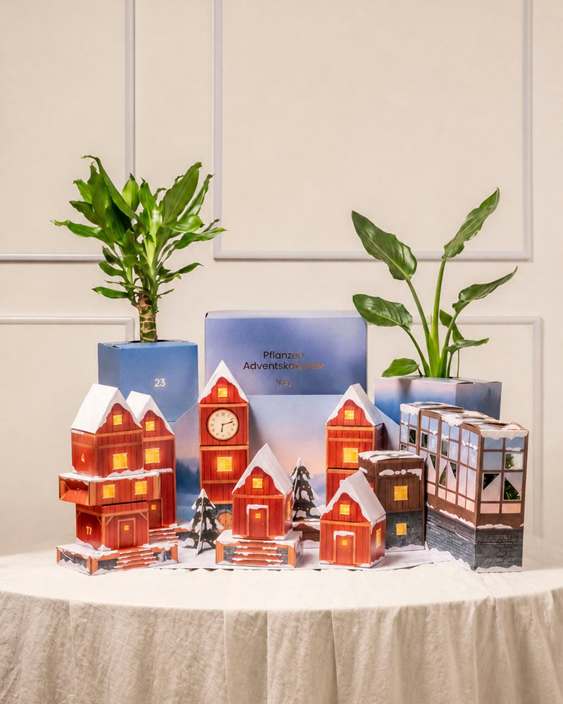 Aufgebautes Winterdorf im Morgenrot mit roten Häuschen, blauen Adventskalender-Boxen und Zimmerpflanzen auf einem drapierten Tisch.