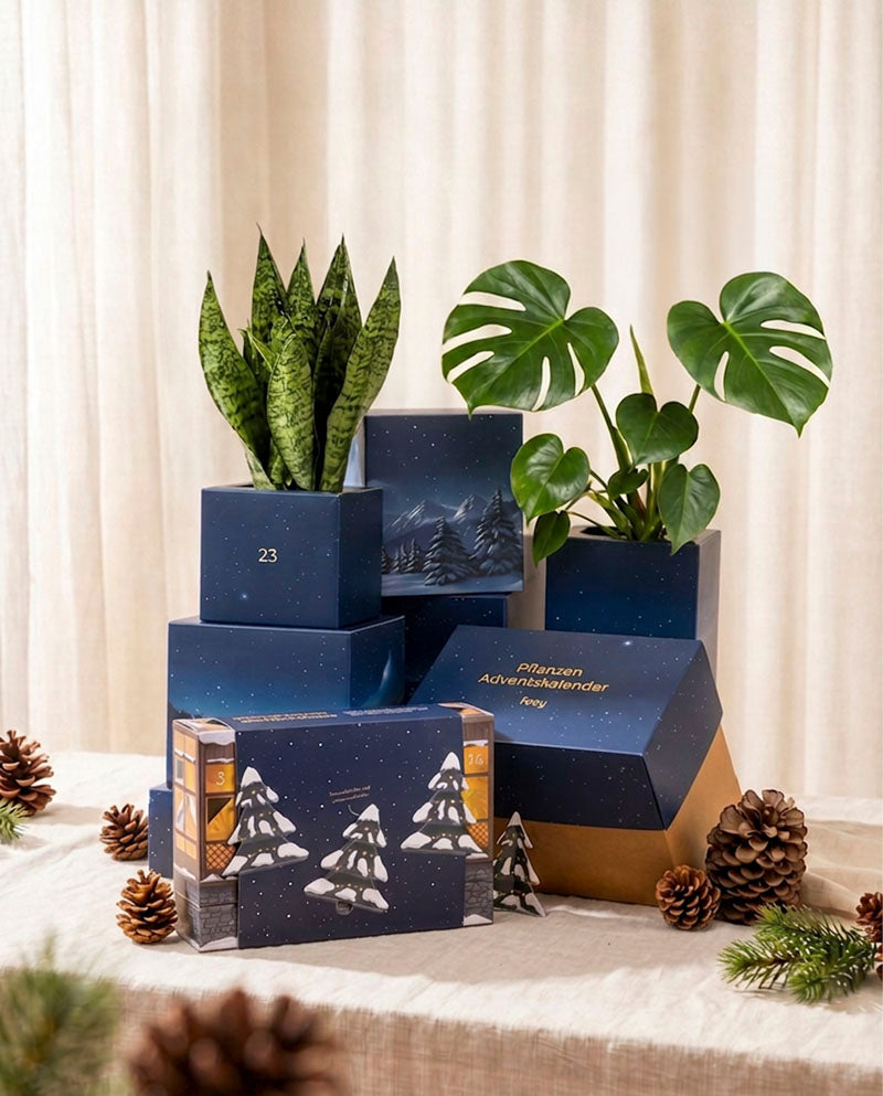 Gestapelte blaue Adventskalender-Boxen mit Bogenhanf und Monstera, dekoriert mit Tannenzapfen vor cremefarbenem Vorhang.