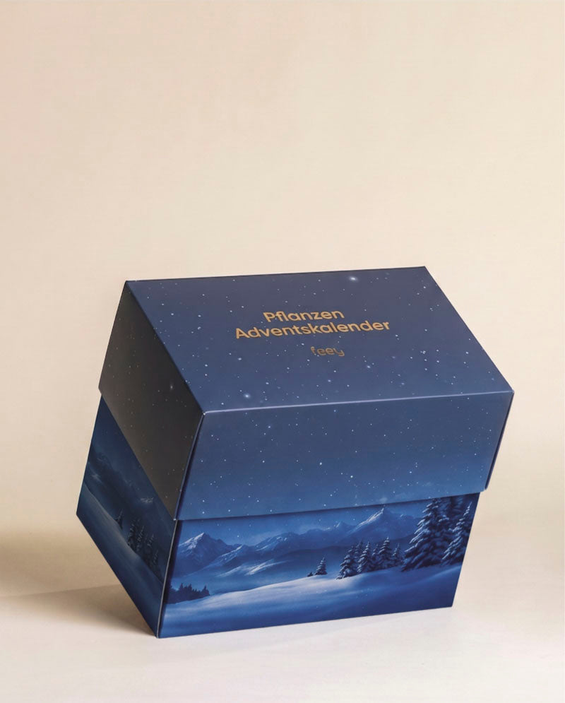 Geschlossene blaue Adventskalender-Geschenkbox mit winterlichem Landschaftsmotiv auf beigem Hintergrund.