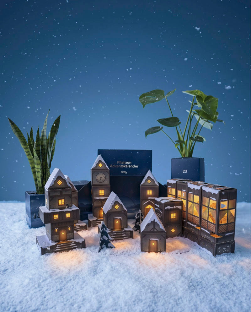 Beleuchtetes Adventskalender-Winterdorf in Abendblau auf Schnee bei Nacht mit Bogenhanf und Monstera im Hintergrund.