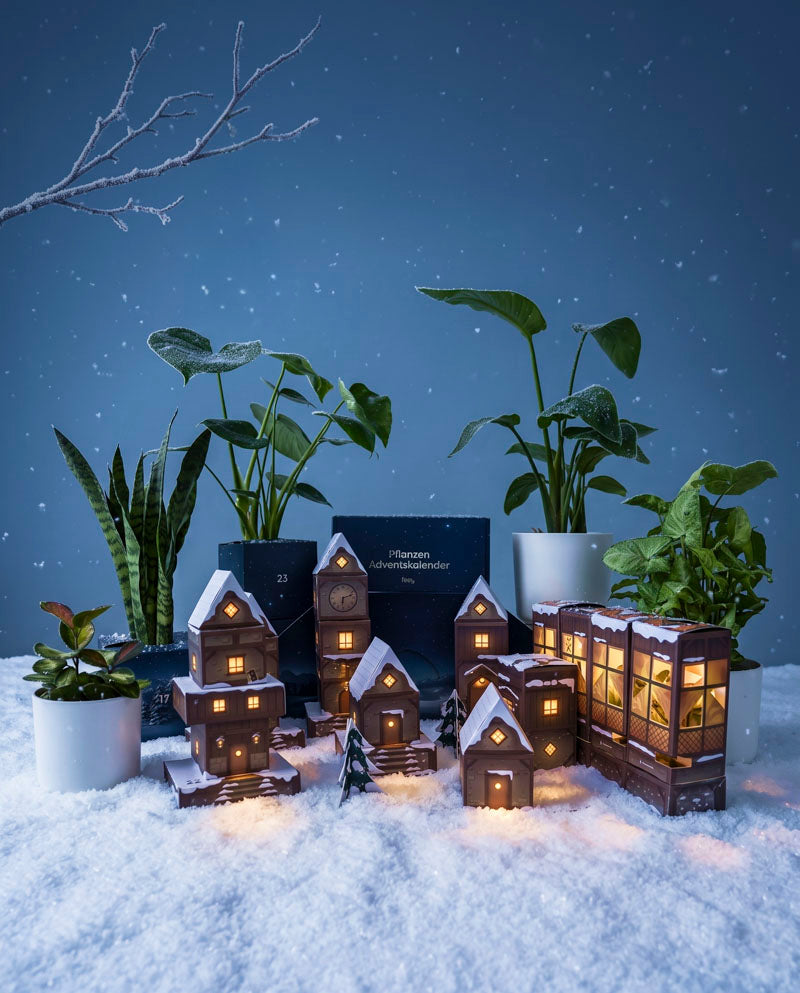 Beleuchtetes Adventskalender-Winterdorf in Abendblau auf Schnee bei Nacht, dahinter Zimmerpflanzen und sanft fallende Schneeflocken.