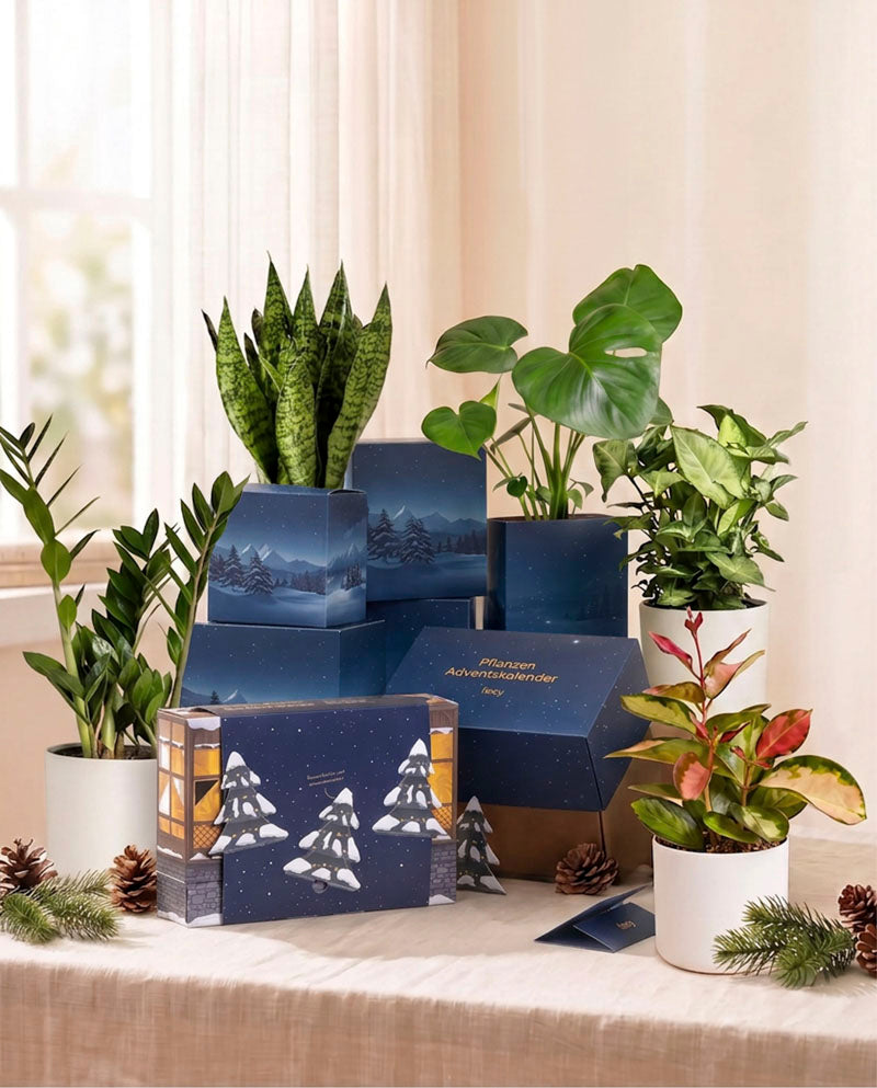 Pflanzen-Adventskalender in Abendblau mit aufgebautem Häuserdorf, blauer Geschenkbox und Zimmerpflanzen am hellen Fenster.