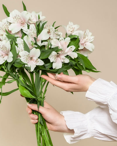 Eine Person in einem weißen, langärmeligen Hemd hält einen Strauß weißer Alstroemeria mit blassrosa und weißen Blüten und grünen Blättern, die vor einem beigen Hintergrund glücklich aussehen.