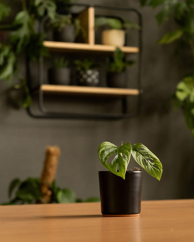Keramik Baby-Topfset 'Sencillo' (3 Stk.) im Wohnzimmer