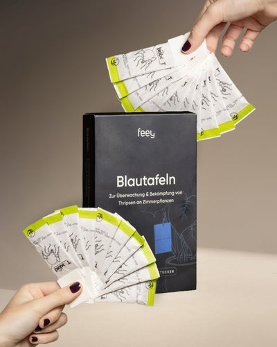 Eine Person zeigt mehrere gelbe Klebefallen aus dem "Bekämpfungsset gegen Thripse" vor einem schwarzen Kasten mit Pflanzenabbildungen auf beigem Hintergrund; eine andere Hand hält eine Falle.