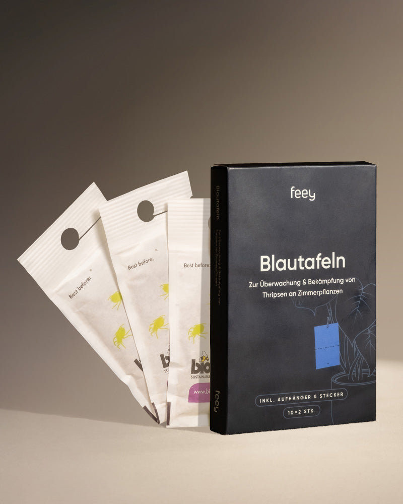 Vor einem neutralen Hintergrund sind drei weiße Beutel und eine schwarze Box mit der Aufschrift „Bekämpfungsset gegen Thripse“ von Feey zu sehen, die zur Überwachung und Bekämpfung von Thripse an Zimmerpflanzen dienen.