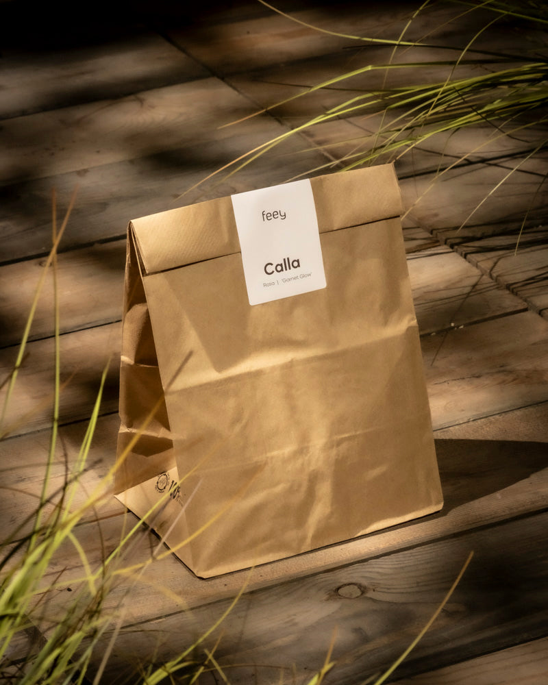 Eine braune Papiertüte mit der Aufschrift „Feey Calla“ liegt mit grünen Grashalmen im sanften Sonnenlicht auf einer Holzoberfläche und ist ideal für die Pflege eines Calla-Rhizoms (Rosa).