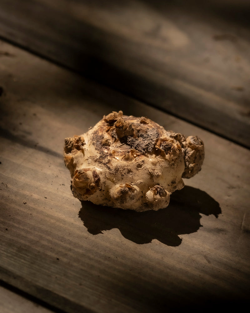 Eine einzelne Calla-Blüte (Rosa) liegt auf einer Holzoberfläche, beleuchtet durch einen Sonnenstrahl, wobei dramatische Schatten der Szene Tiefe verleihen.