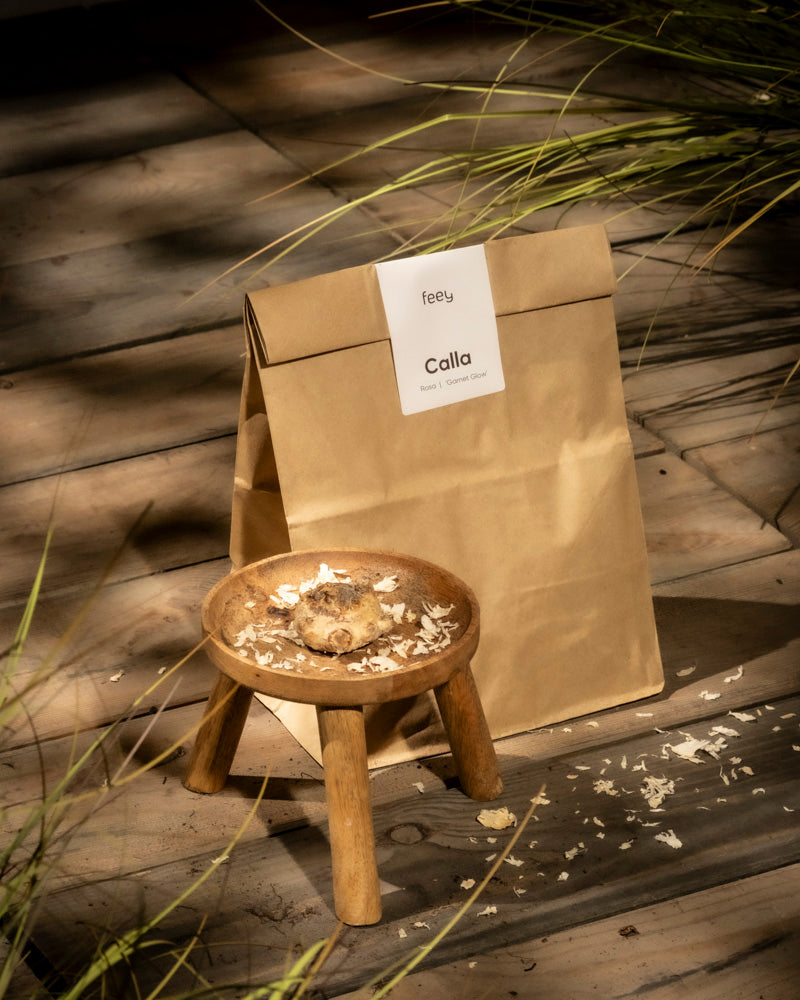 Eine braune Papiertüte mit der Aufschrift „Calla (rosa)“ steht auf einem Holzboden neben einem kleinen Hocker mit getrockneten Blütenblättern und einem Rhizom der Zantedeschia „Garnet Glow“, in Sonnenlicht getaucht und von grünem Gras gesäumt.