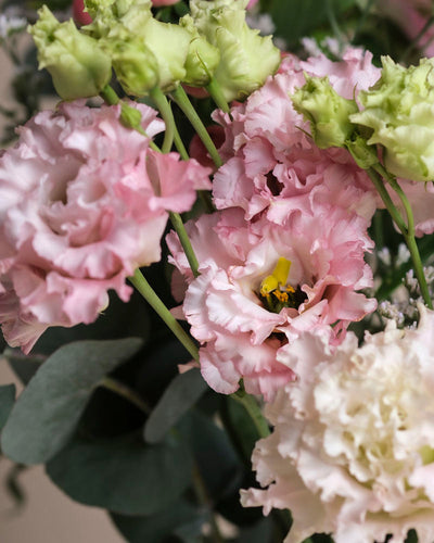 Die Nahaufnahme der zarten rosa und weißen Lisianthusblüten, die gekräuselten Blütenblätter und die grünen Knospen erinnern an die Eleganz des Ballerina-Bouquets - ein exquisiter Strauß von Rosa Blumenstrauss.