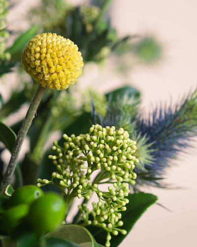 Eine Nahaufnahme des Erfolgsgeheimnis-Bouquets mit einer runden gelben Billy-Ball-Blüte, grünen Knospen, stacheligen blauen Disteln und üppigen grünen Blättern, die vor einem weichen beigen Hintergrund Positivität ausstrahlen.