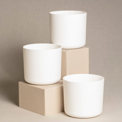 Drei weiße zylindrische Topfsets (3 x 16) in unterschiedlichen Höhen werden auf und um zwei beige rechteckige Blöcke vor einem neutralen Hintergrund ausgestellt. Das minimalistische Design betont die klaren Linien und glatten Oberflächen der Pflanzgefäße, perfekt für die Präsentation von Zimmerpflanzen in jedem modernen Raum.