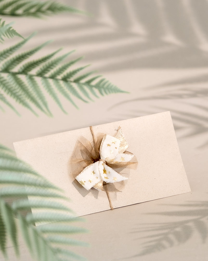 Ein eleganter beiger Gutscheinumschlag, geschmückt mit einer braun-weißen Schleife mit goldenen Sternen, ist geschmackvoll von den sanften Schatten blättriger Farne auf hellem Hintergrund umgeben und ist somit das perfekte Geschenk für jeden besonderen Anlass.