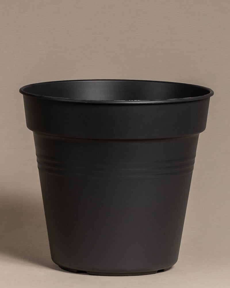 Ein schwarzer Innentopf der Marke elho mit 30cm Durchmesser.