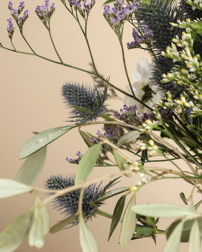 Eine Nahaufnahme des Nebelmeer-Straußes mit stacheligen blauen Disteln, zarten Blüten in Lila, weißen Blüten und hellgrünen Blättern vor einem beigen Hintergrund.