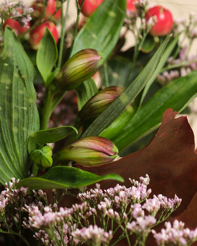 Eine Nahaufnahme des Herbstfreude-Straußes zeigt grüne Blätter, ungeöffnete rosafarbene Knospen, kleine hellviolette Blüten und rote Beeren im Hintergrund - ein fröhliches Farbspiel in warmen Farben.