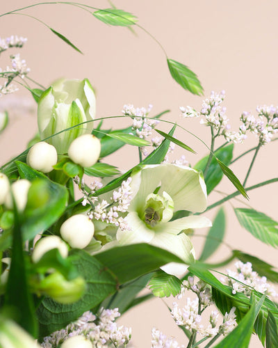 Eine Nahaufnahme von Luftkuss, einem Strauß mit zartgrünen und weißen Blüten, kleinen weißen Knospen und zarten Lavendelzweigen auf einem weichen beigen Hintergrund, der das sanfte Gefühl von Liebe in jedem Detail einfängt.