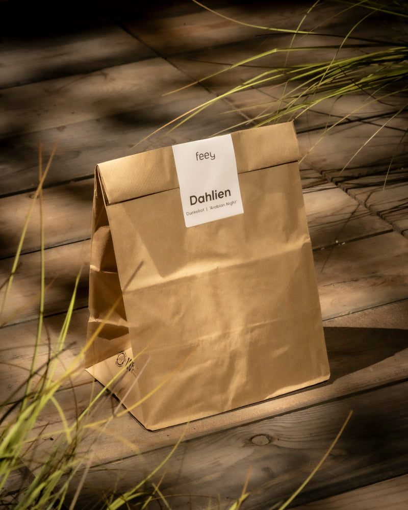 Eine braune Papiertüte mit der Aufschrift „Dahlien (dunkelrot)“ liegt auf einer Holzoberfläche im grünen Gras und ist in Sonnenlicht getaucht. Im Inneren befinden sich Knollen zum Einpflanzen für den Anbau auffälliger, dunkelroter Blüten.
