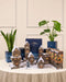Aufgebautes Winterdorf des Pflanzen-Adventskalenders in Abendblau auf einem gedeckten Tisch, dahinter Bogenhanf und Monstera vor heller Wandvertäfelung.