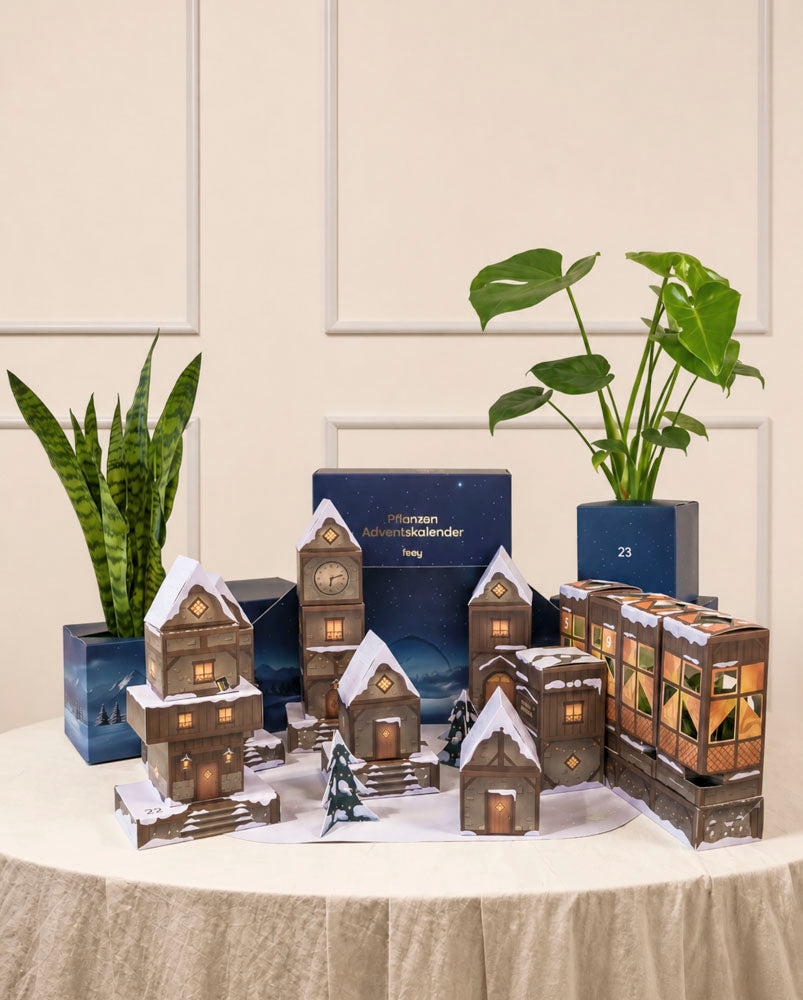 Aufgebautes Winterdorf des Pflanzen-Adventskalenders in Abendblau auf einem gedeckten Tisch, dahinter Bogenhanf und Monstera vor heller Wandvertäfelung.