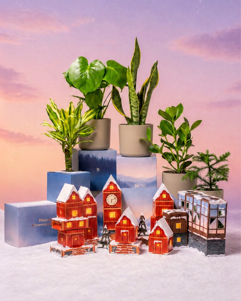 Adventskalender-Winterdorf im Morgenrot mit roten Papierhäuschen und Zimmerpflanzen auf blauen Podesten vor rosafarbenem Morgenhimmel im Schnee.