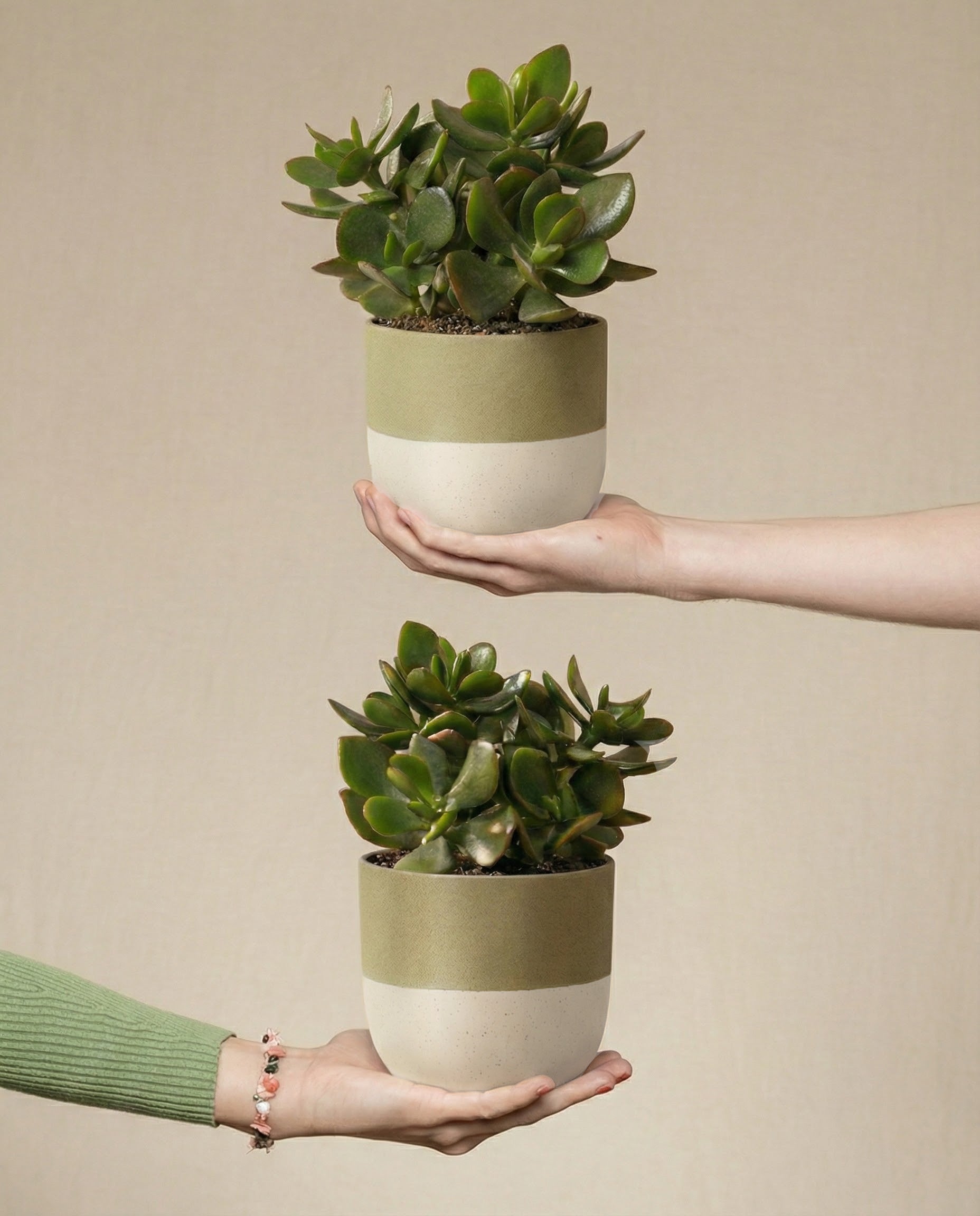 Zwei Hände halten identische 