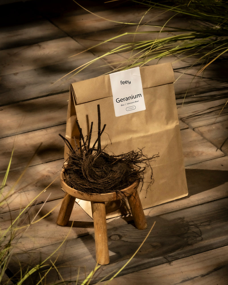 Eine braune Papiertüte mit der Aufschrift „Geranium (blau)“ steht aufrecht hinter einem kleinen Holzhocker, auf dem sich ein Bündel nackter Geranienwurzeln befindet, während Sonnenlicht und Grashalme im Hintergrund einen Hauch von Tradition verleihen.