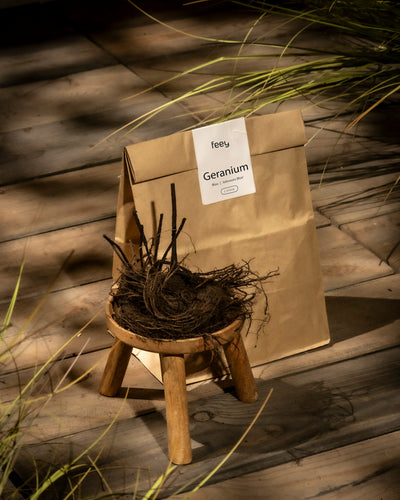 Eine braune Papiertüte mit der Aufschrift „Geranium (blau)“ steht aufrecht hinter einem kleinen Holzhocker, auf dem sich ein Bündel nackter Geranienwurzeln befindet, während Sonnenlicht und Grashalme im Hintergrund einen Hauch von Tradition verleihen.