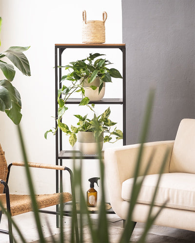 Ein gemütliches Wohnzimmer präsentiert einen beigen Sessel, einen Korbstuhl und ein Metall-Holz-Regal, auf dem das Keramik-Topfset „Variado“ mit Topfpflanzen und einem geflochtenen Korb ausgestellt ist. Auf dem unteren Regal steht eine Sprühflasche, während leuchtend grüne Blätter sich von der grauen Wand abheben.