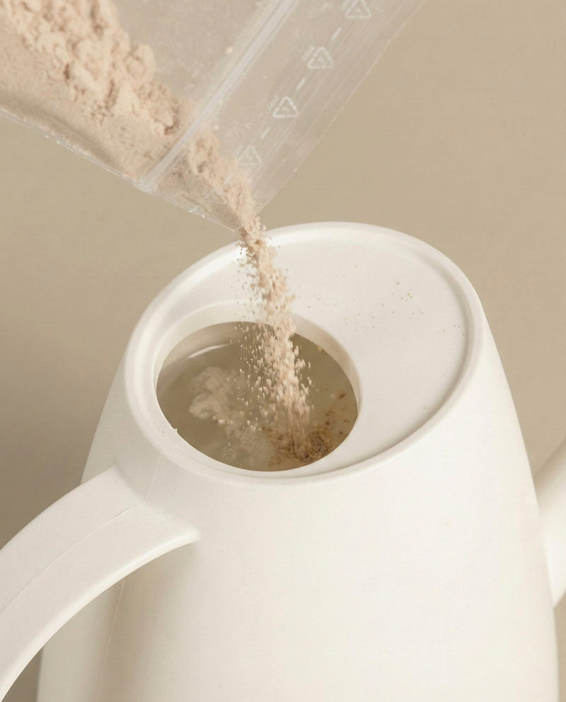 Eine Nahaufnahme zeigt eine weiße Gießkanne, die mit beigem Nematoden gegen Trauermücken-Pulver zur Behandlung von Trauermücken in Zimmerpflanzen gefüllt ist, vor einem neutralen Hintergrund.