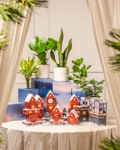 Eine festliche Auslage zeigt den Pflanzen-Adventskalender (Dschungel-Version) inmitten eines verschneiten Dorfes mit leuchtenden Häusern, Blumentöpfen, blauen Geschenkboxen und einem cremefarbenen, von Stoffvorhängen umrahmten Tisch.
