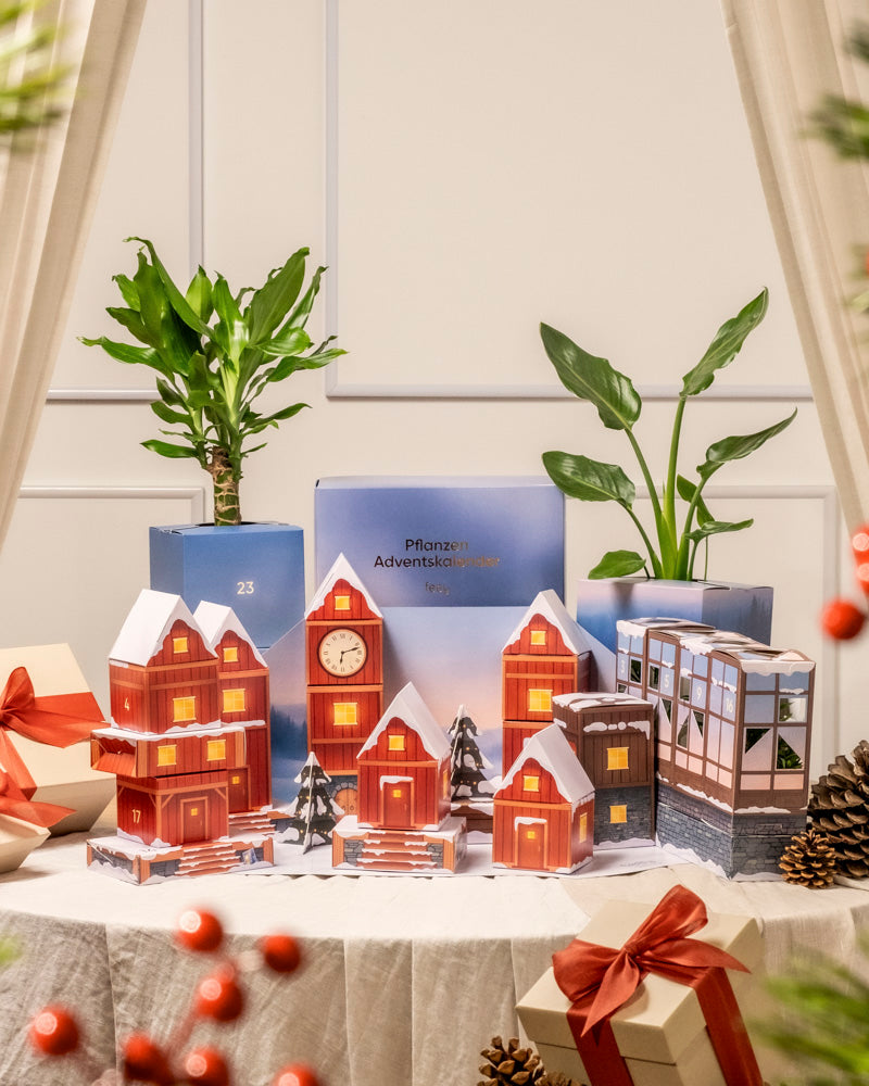Eine festliche Auslage auf einem weißen Tisch zeigt Modellhäuser, den Pflanzen-Adventskalender, verpackte Geschenke mit roten Bändern, Tannenzapfen und echte Pflanzen in dekorativen Töpfen, alles vor einem neutralen Hintergrund.