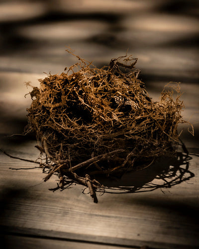 Ein Vogelnest aus Zweigen und Gras liegt auf einem Holzbrett. Das Sonnenlicht wirft sanfte Schatten. In der Nähe wiegt sich eine rosa Astilbe sanft und zeigt die exquisite Schöpfung der Natur.