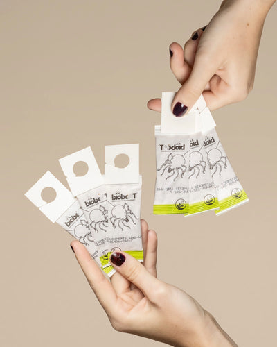 Zwei Hände halten mehrere kleine Päckchen Raubmilben gegen Thripse, jedes mit grün-weißen Tierzeichnungen und einem kreisförmigen Loch an der Spitze, angeordnet auf einem beigen Hintergrund.