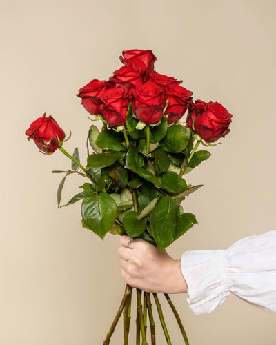 Eine Hand in einem weißen, langärmeligen Hemd hält den Blumenstrauß "Rote Rosen" - ein klassisches Symbol der Liebe mit grünen Blättern - vor einem schlichten beigen Hintergrund.