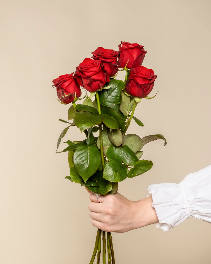 Eine Hand in weißem Ärmel hält einen Strauß "Rote Rosen" mit grünen Blättern vor schlicht-beigem Hintergrund - ein zeitloser Klassiker der Liebeserklärung.