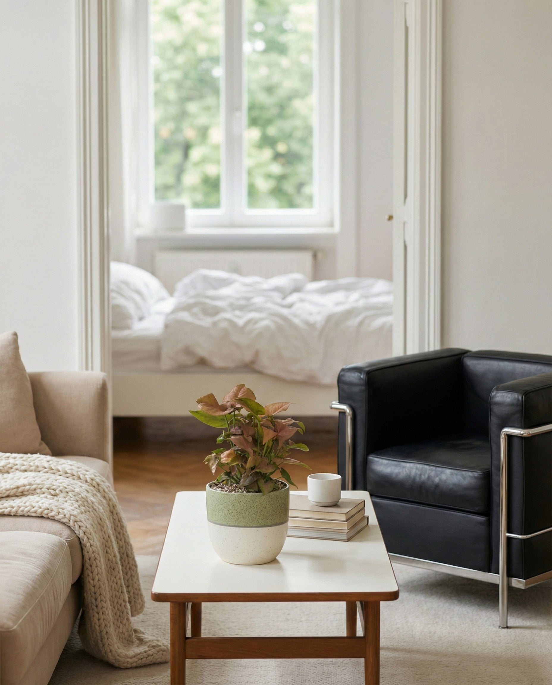Ein gemütliches Wohnzimmer mit einem beigen Sofa, einem schwarzen Sessel und einem weißen Couchtisch mit Büchern, einer Tasse und einem Syngonium 'Neon' - feey. Im Hintergrund ist durch eine offene Tür ein Bett mit weißem Bettzeug zu sehen.
