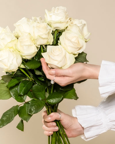 In einem weißen, langärmeligen Oberteil hält jemand einen Strauß Weißer Rosen - eine Hand stützt die Stiele, die andere berührt die Blüten - und vermittelt Ehrlichkeit und Respekt vor einem weichen, beigen Hintergrund.