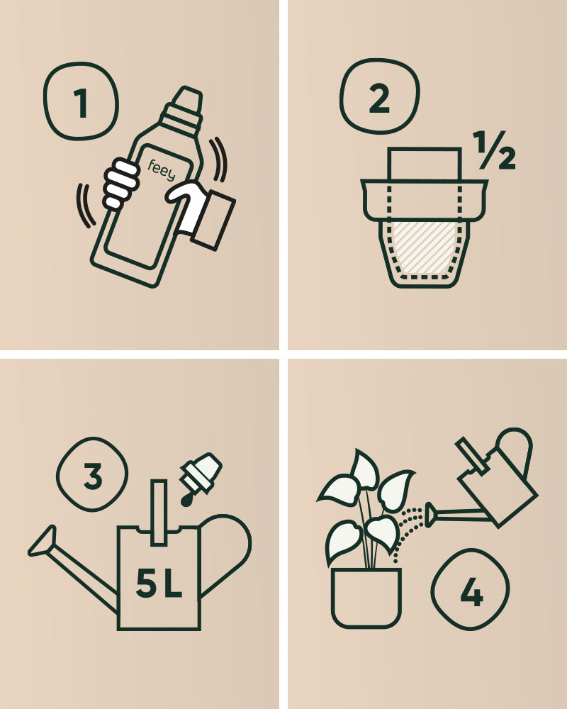 Vier Schritte: 1. Schütteln Sie die Flüssigdünger-Flasche. 2. Gieße eine halbe Kappe voll ein. 3. In eine 5-Liter-Gießkanne geben. 4. Gießen Sie Ihre Zimmerpflanzen mit der Nährstoffmischung.