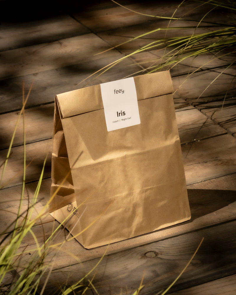 Eine braune Papiertüte mit der Aufschrift „Iris (violett)“ liegt auf einer sonnendurchfluteten Holzfläche. Grasähnliche Pflanzen, die an Calla-Blätter erinnern, verleihen der Szene eine natürliche Note und erinnern an kurz vor dem Austrieb stehende Zantedeschia-Rhizome.